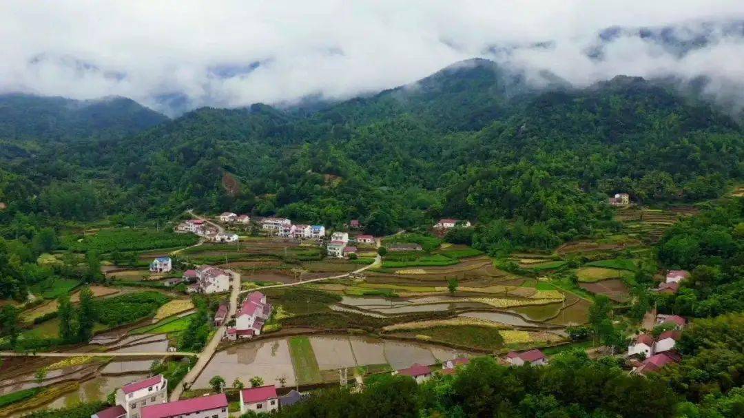 好消息英山农村不动产证下发了看看有你家没