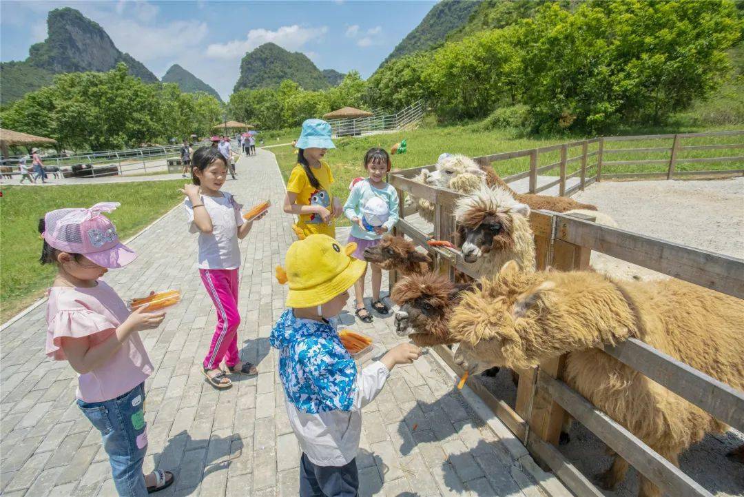 谁说双十一要剁手德保矮马王国景区特惠抢购来啦无套路轻松游