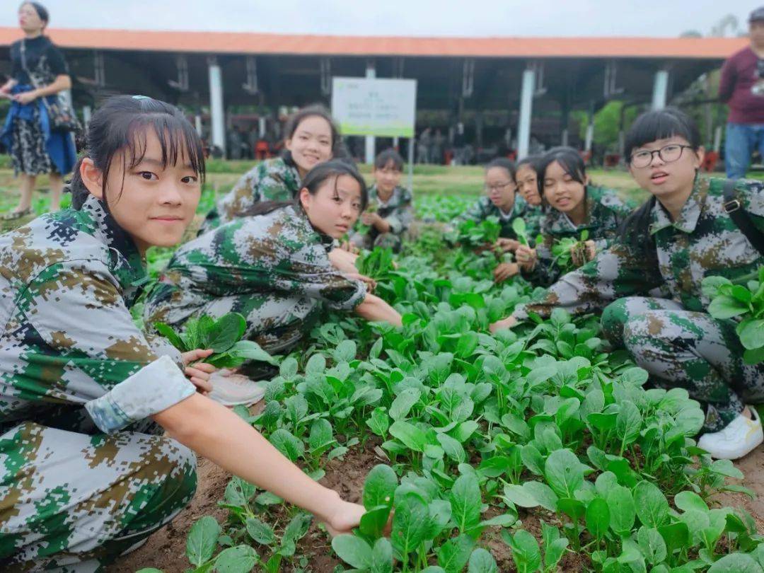 南靖一中高一年级东南花都军训暨研学实践活动 | 绽放青春 放飞理想