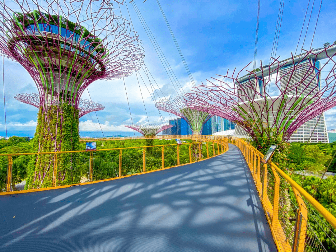 从即日起到11月15日,滨海湾公园树立一朵2米高的蒲公英,在一棵棵巨型