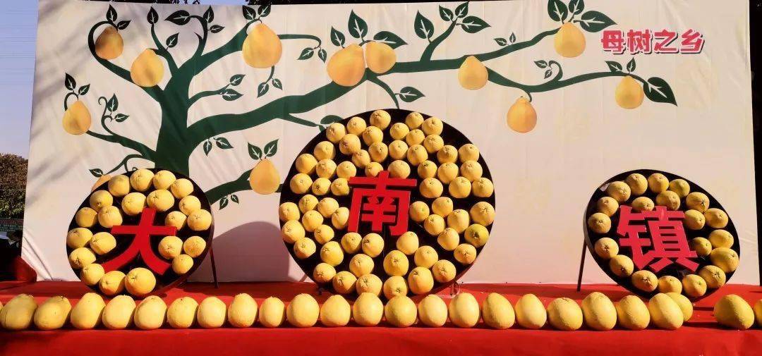 广丰马家柚照片