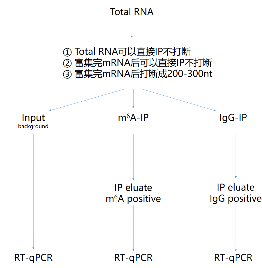 万字长文教你做m6A-IP-qPCR至尊豪华版 | m6A专题-搜狐大视野-搜狐新闻