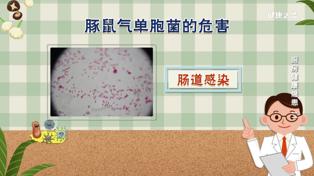 豚鼠气单胞菌非脱羧勒克氏菌阴沟肠杆菌又会导致怎样的危害?