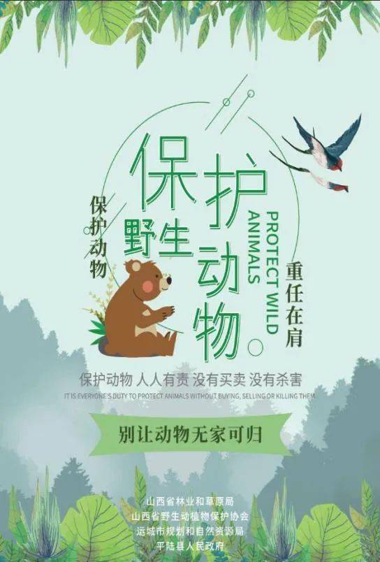 山西省举办首届野生动物保护宣传月暨2020年秋冬季护鸟飞启动仪式宣传