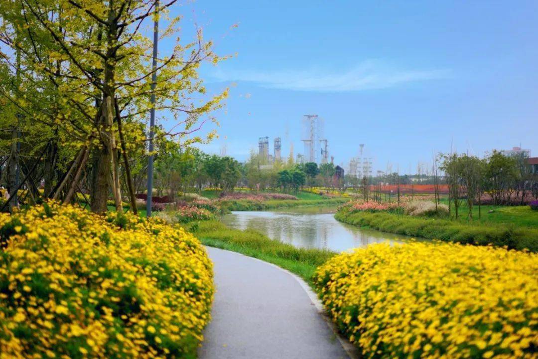 映像青白江丨青白江人的秘密美景,藏不住了!_城市