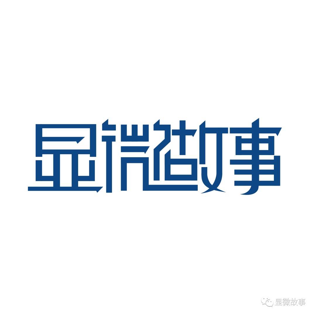 aj球鞋拳击手套在100位外卖小哥的购物车里我找到了热爱生活的意义