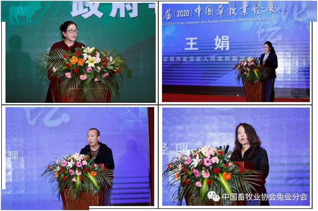 在由定西市安定区委常委,宣传部部长郭海莲主持的政府 企业推介会上