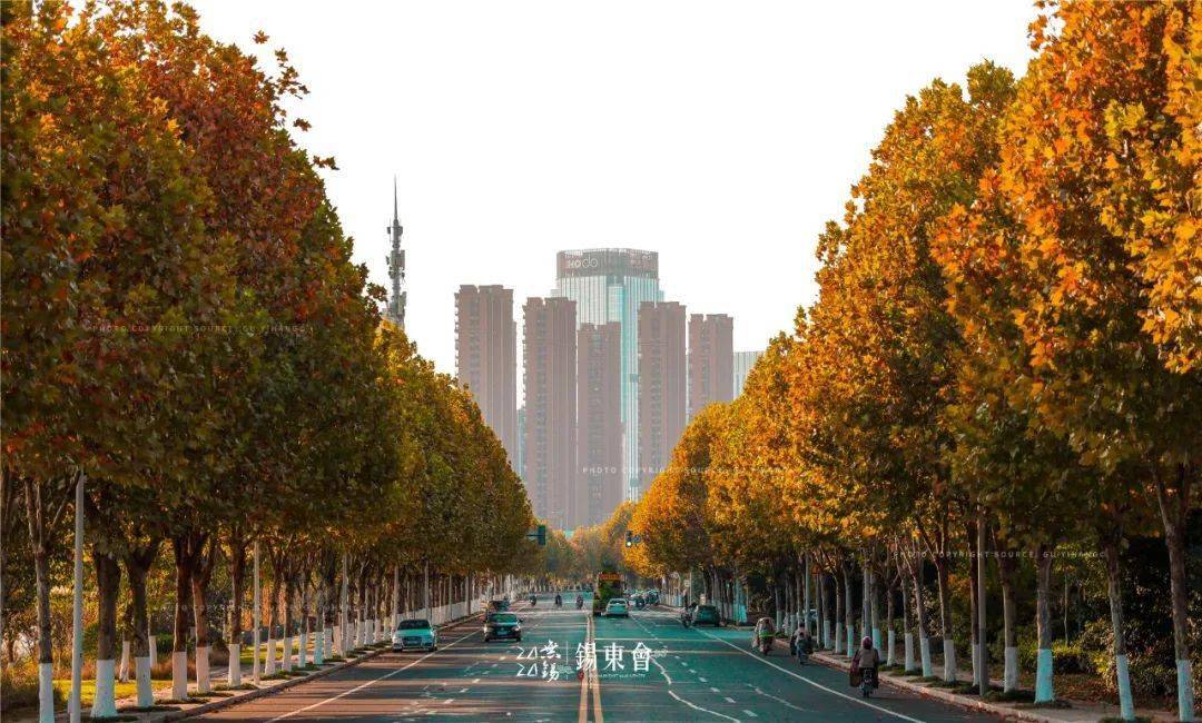 2000米梧桐大道惊艳了原来锡东藏着一个小南京