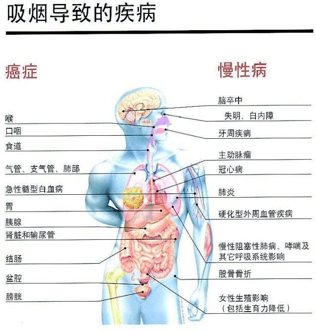都知道吸烟有害,为什么你却戒不掉_危害
