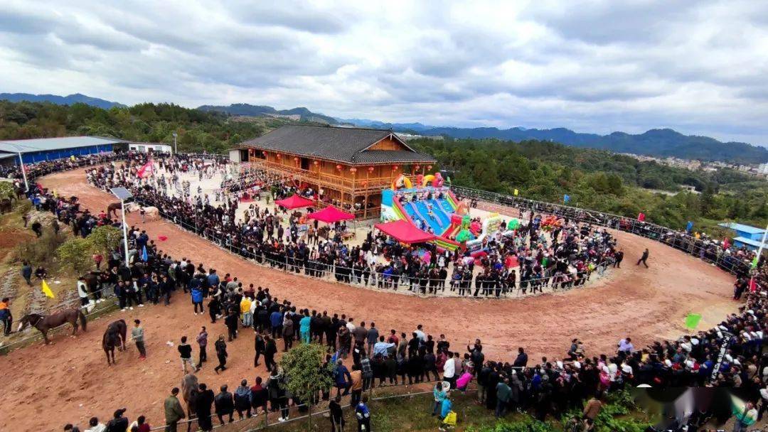 三都水族端节系列报道——策马扬鞭