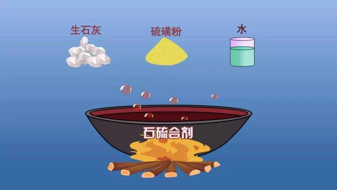 ②常用的配制比例是生石灰:硫磺粉:水为1:2:10,尽可能选择高质量的