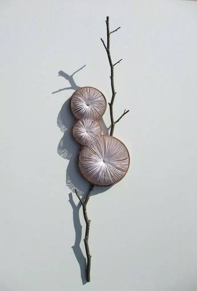 艺术家kazuhito takadoi的植物雕塑作品