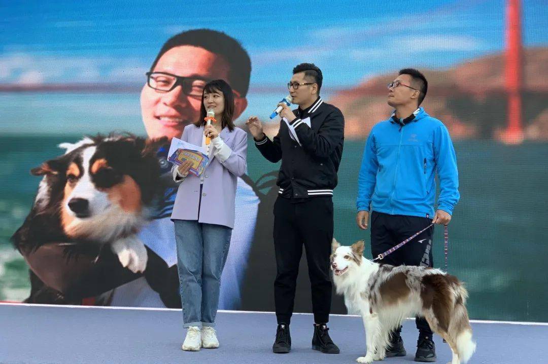 江宁景枫kingmo东北广场 属于铲屎官与他的主人的双十一 精彩上演