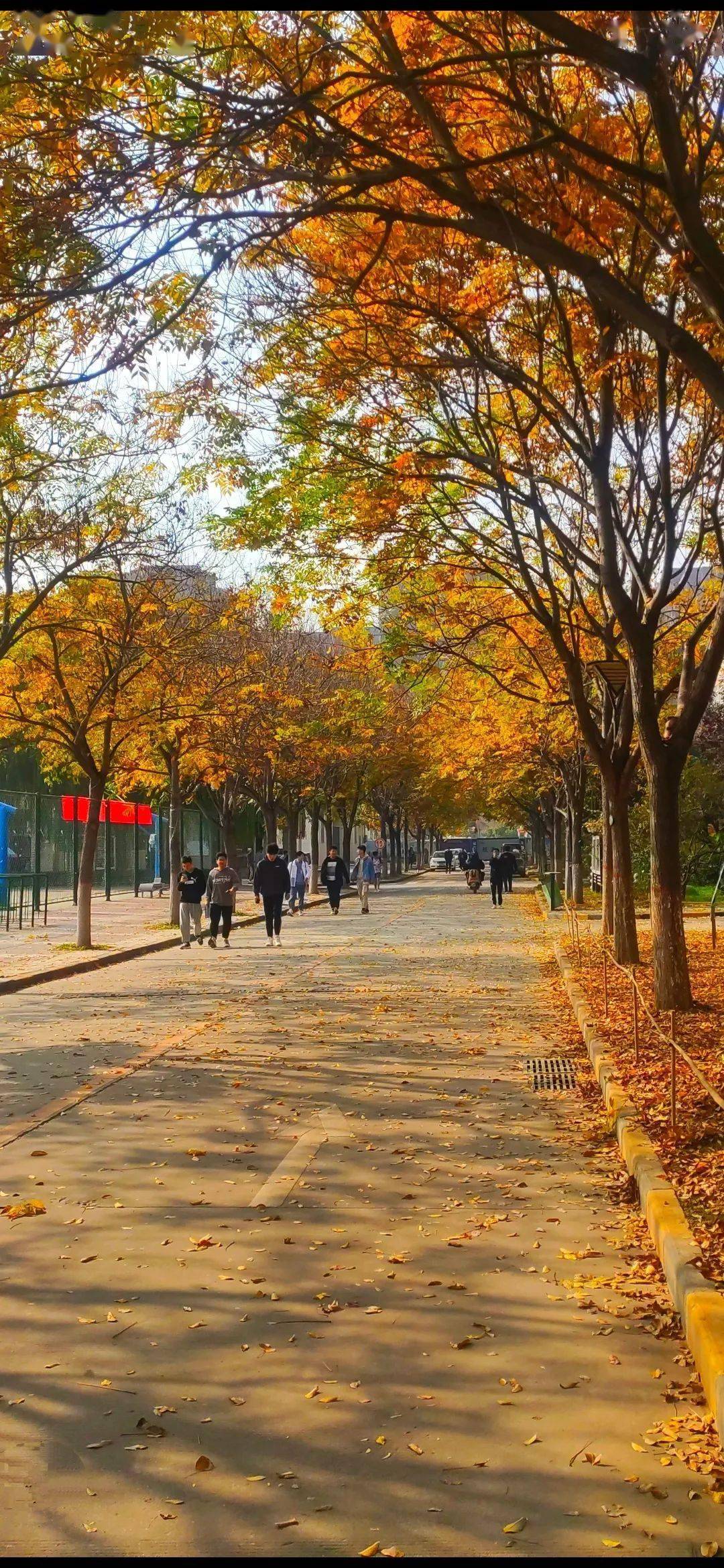 摄影比赛丨我们的校园光影世界投票进行时