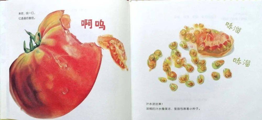 【田园微电台】第七期 红通通的番茄_绘本故事