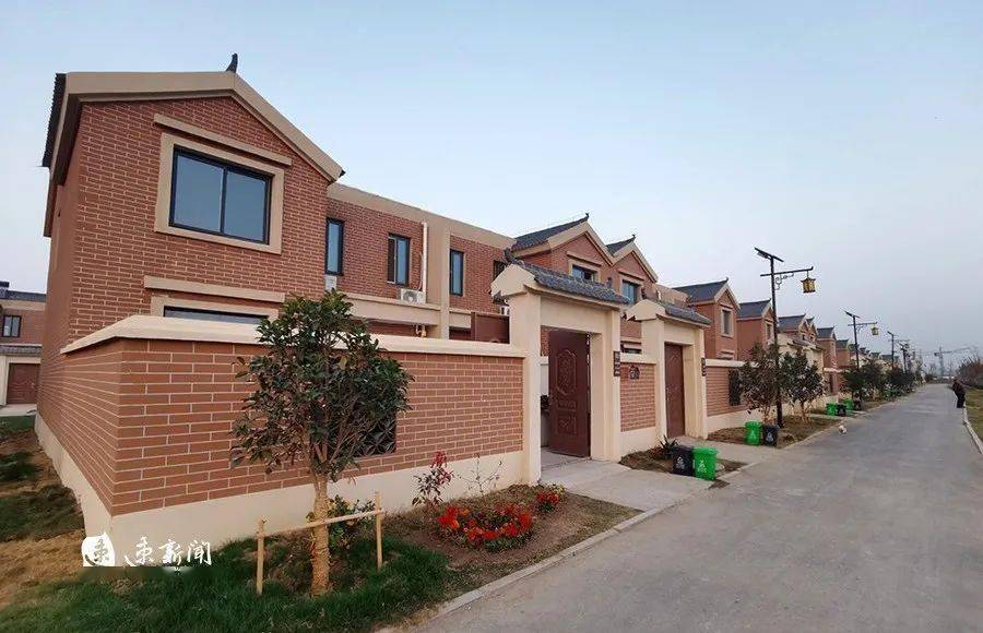 全市乡村振兴重点工作现场推进会观摩剪影②畅享田畴丰获_卢集镇