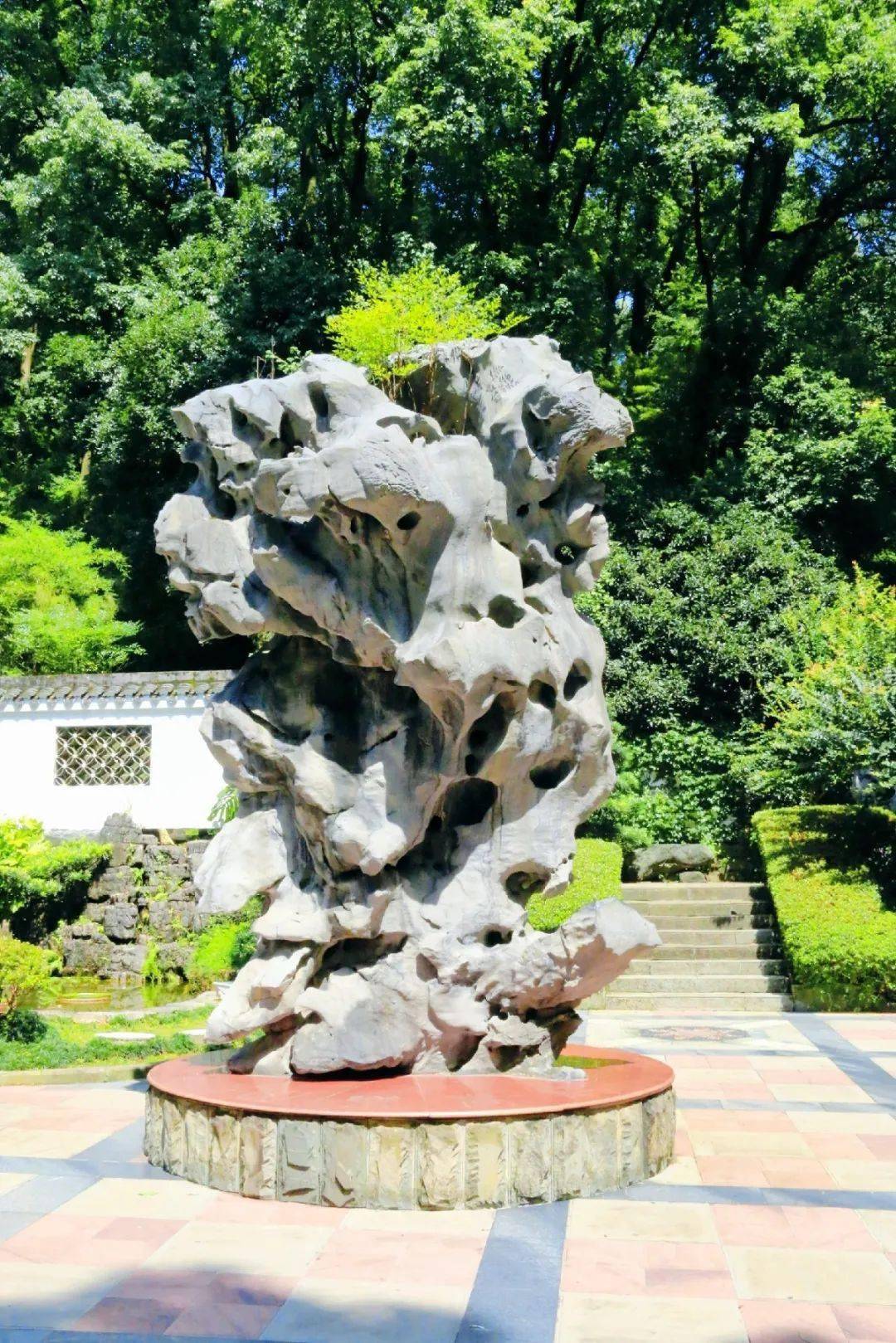 南山植物园获奖向阳而来共赏盆景的艺术魅力