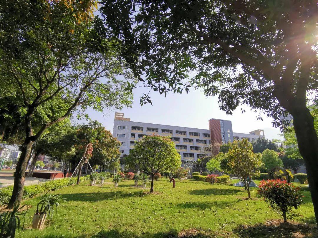 福州格致中学鼓山校区福州十一中福州四中福州二中福州三中泉州一中