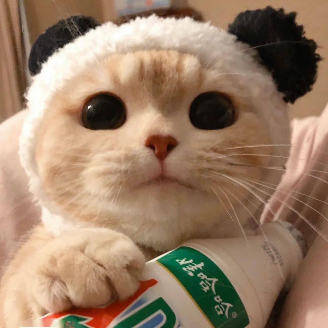 微信头像库 | 百看不厌头像大全