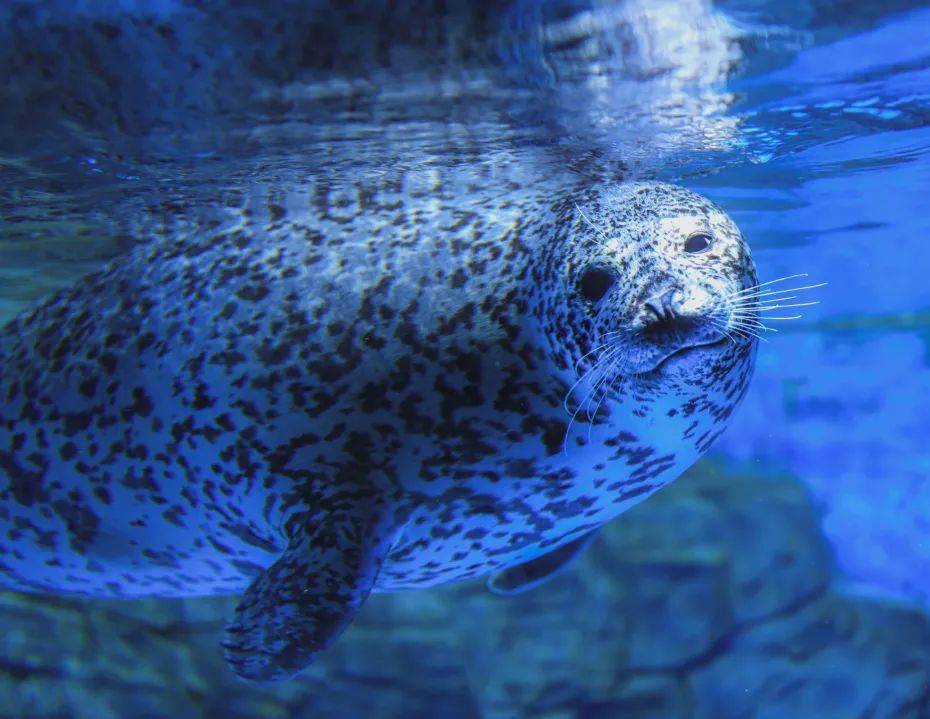 特惠!75元畅游老虎滩