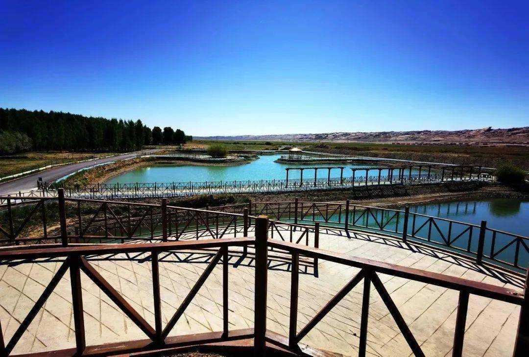 塔城摄影网站建设_(塔城摄影网站建设项目)