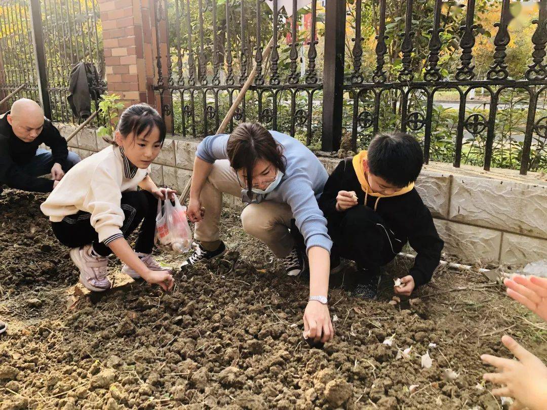 走一起去种菜吧云林实小开心农场开耕