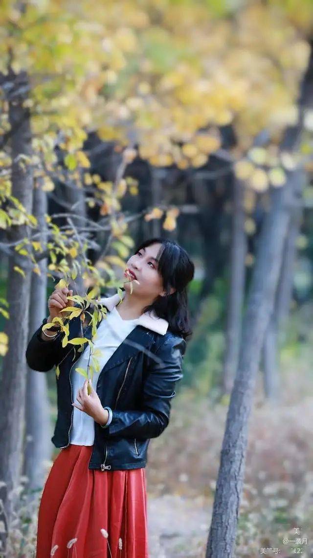 浅冬如梦许我浅笑而安