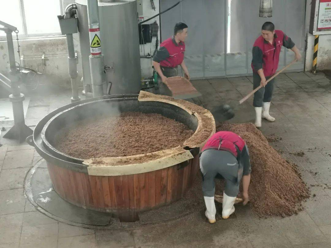 整个8号工坊面积9600平方米,共有地缸7280口,发酵池80个,蒸粮蒸酒设施