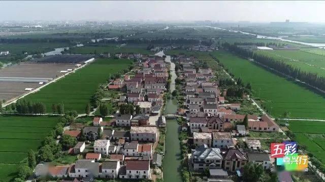 五彩嘉兴行走进干窑镇③互比互评股权分红绘就水清岸绿的江南水乡画卷