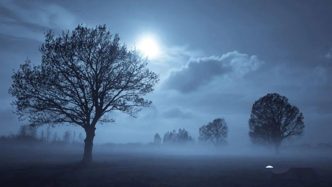 渔火| 皎皎空中孤月轮_月光