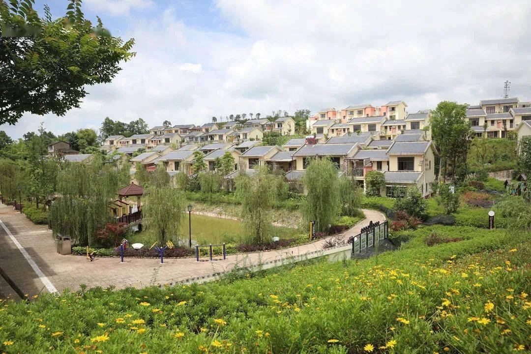 美丽乡村金刚村的诗意生活