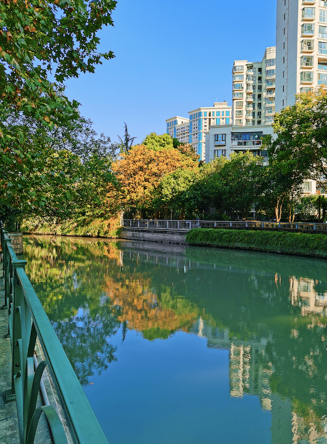 街头巷尾遇见秋看他们镜头下的漕河泾有多美