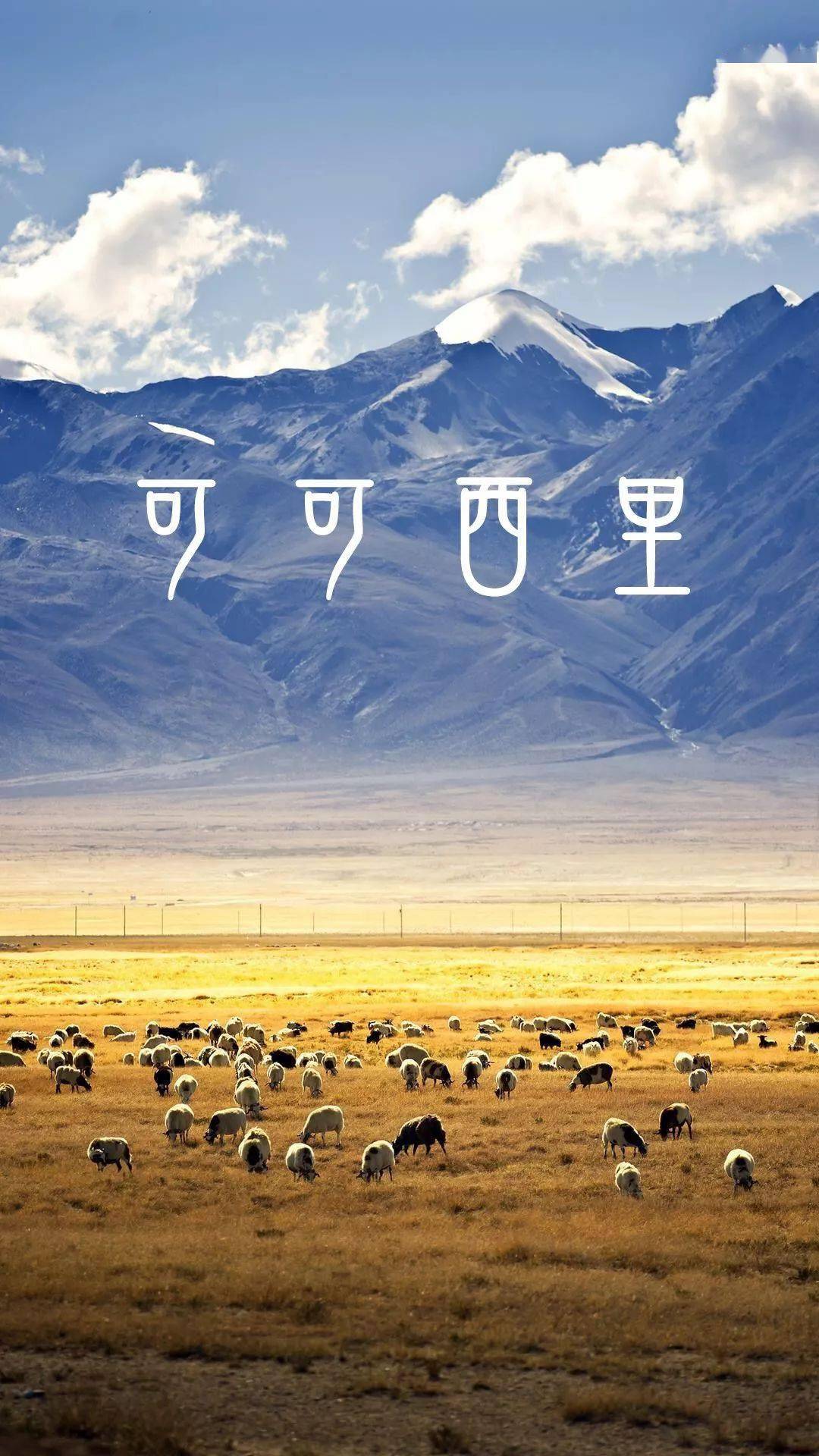 青海可可西里国家级自然保护区位于青海省玉树藏族自治州西部,总面积4