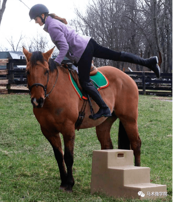 你的马会在上马时乱动吗?