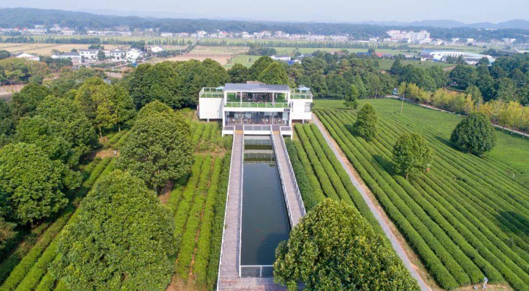 金井之声长沙县首个金井镇入选省级特色农业小镇67