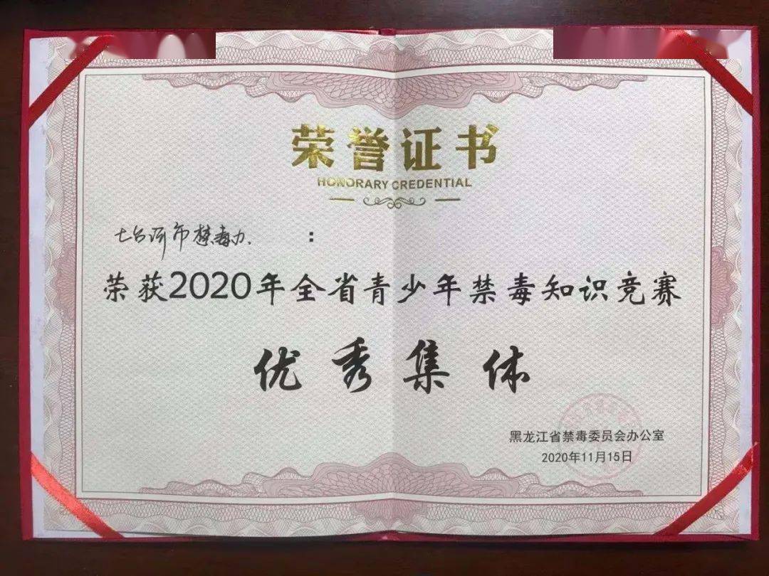 2020年全省青少年禁毒知识竞赛七台河市喜获佳绩