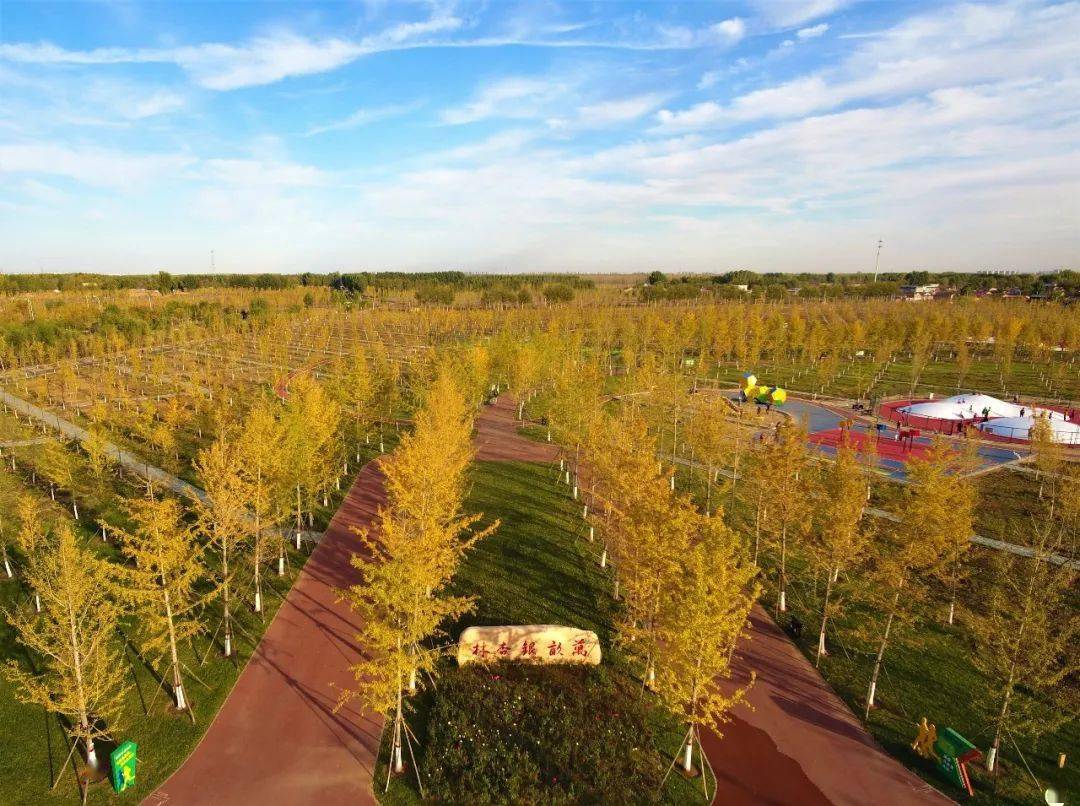 北三县大厂美得一塌糊涂