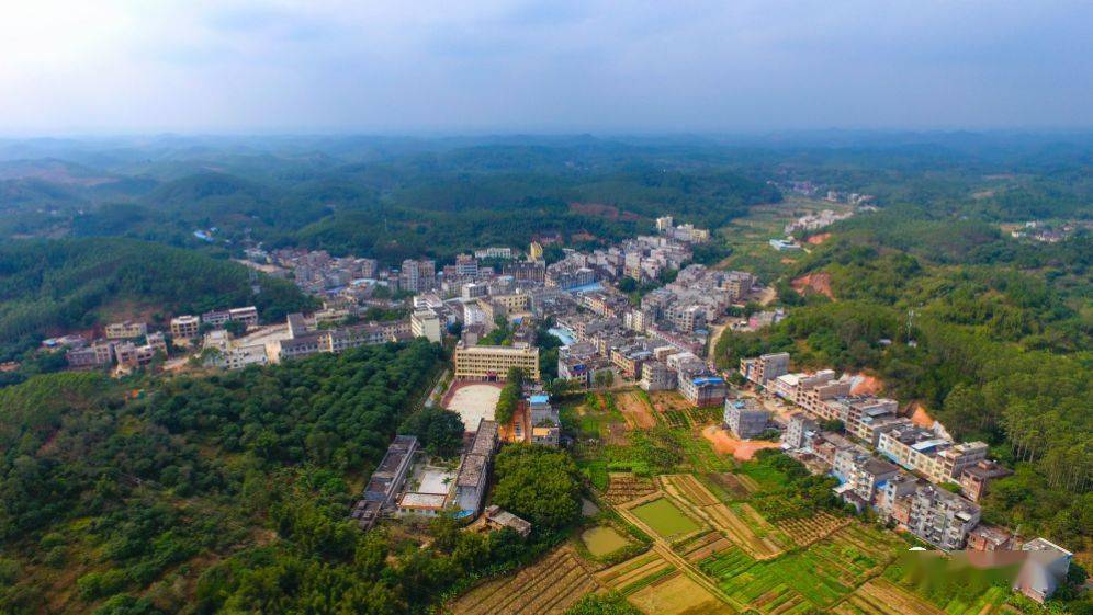 历史99的浦北人都不知道大成圩竟是这么来的