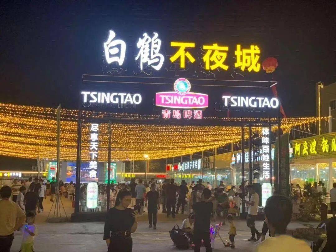 百佳广场垃圾分类及智慧安防示范小区国力茗都智慧管理平台镇政务服务