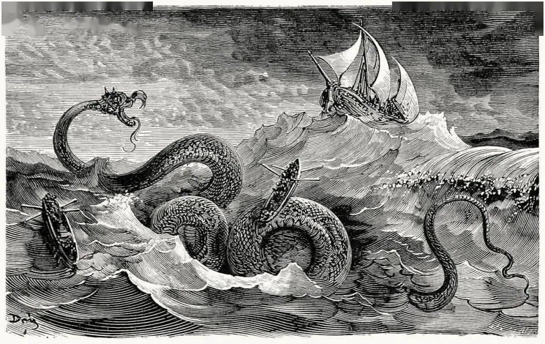 海蛇哪颗牙咬人最疼