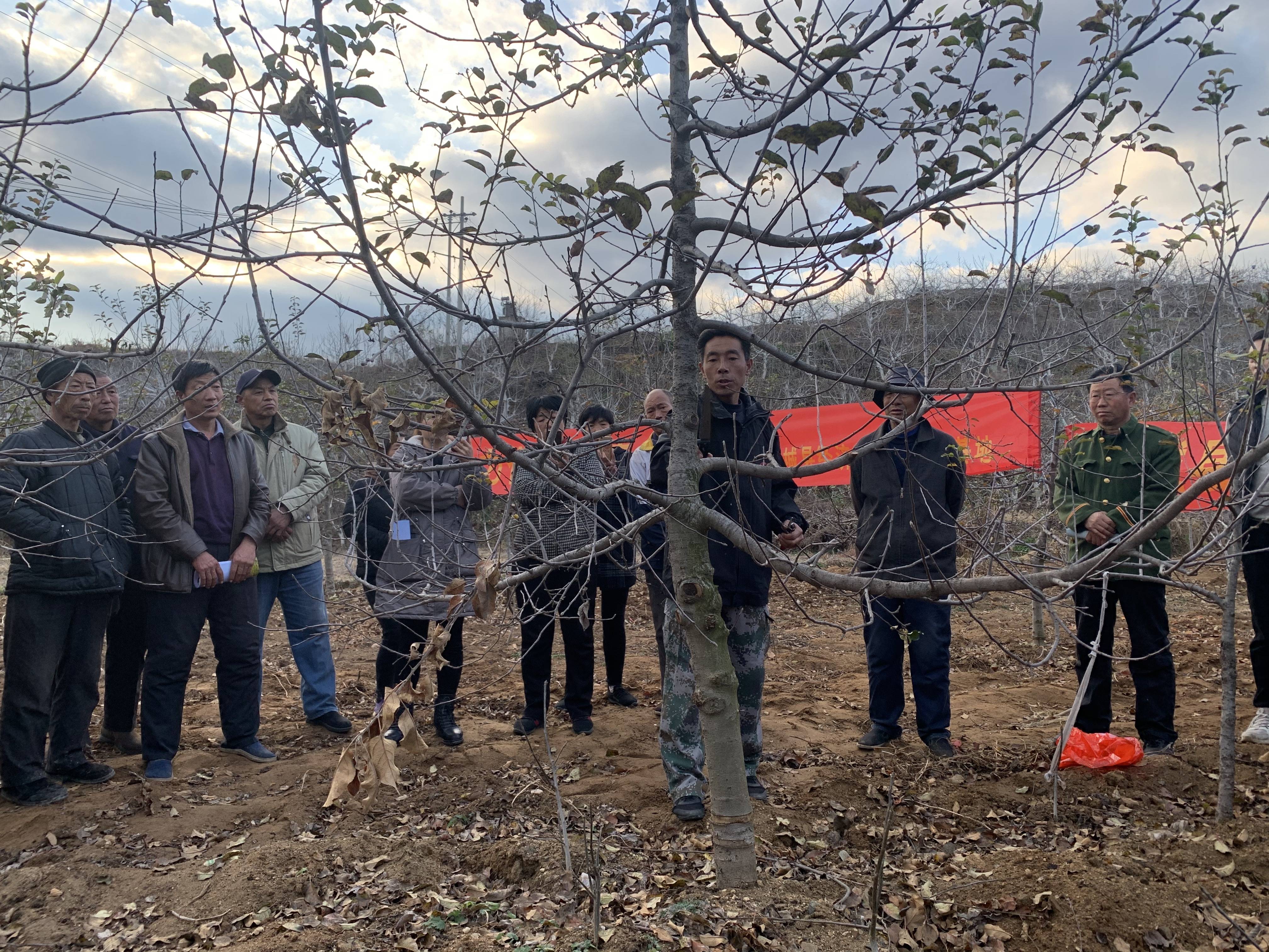 种植果树,养"跑步鸡…科技扶贫给小乡村带来大变化