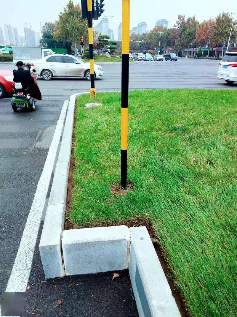 市园林绿化中心开展绿地切边,土高于路(石)整治工作