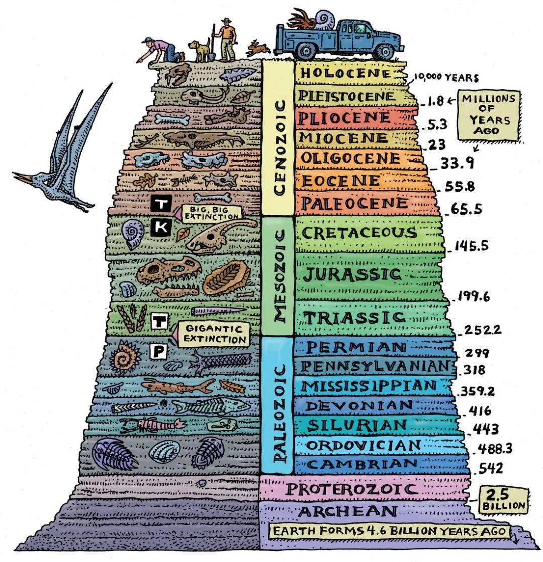 显生宙分为古生代,中生代和新生代,每个时代分了几个纪.