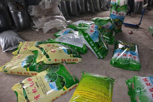 油茶施肥选准肥料种类把握施肥时间熟悉施肥技巧力促来年油茶高产稳产