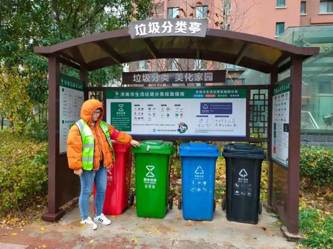 城市绿洲：垃圾分类项目重塑美好生活