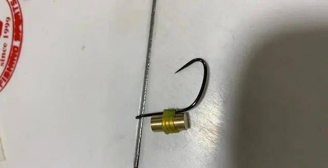 这不是摆拍,而是渔具店真有大量"原料"的:结合深水的额荧光棒锚鱼"