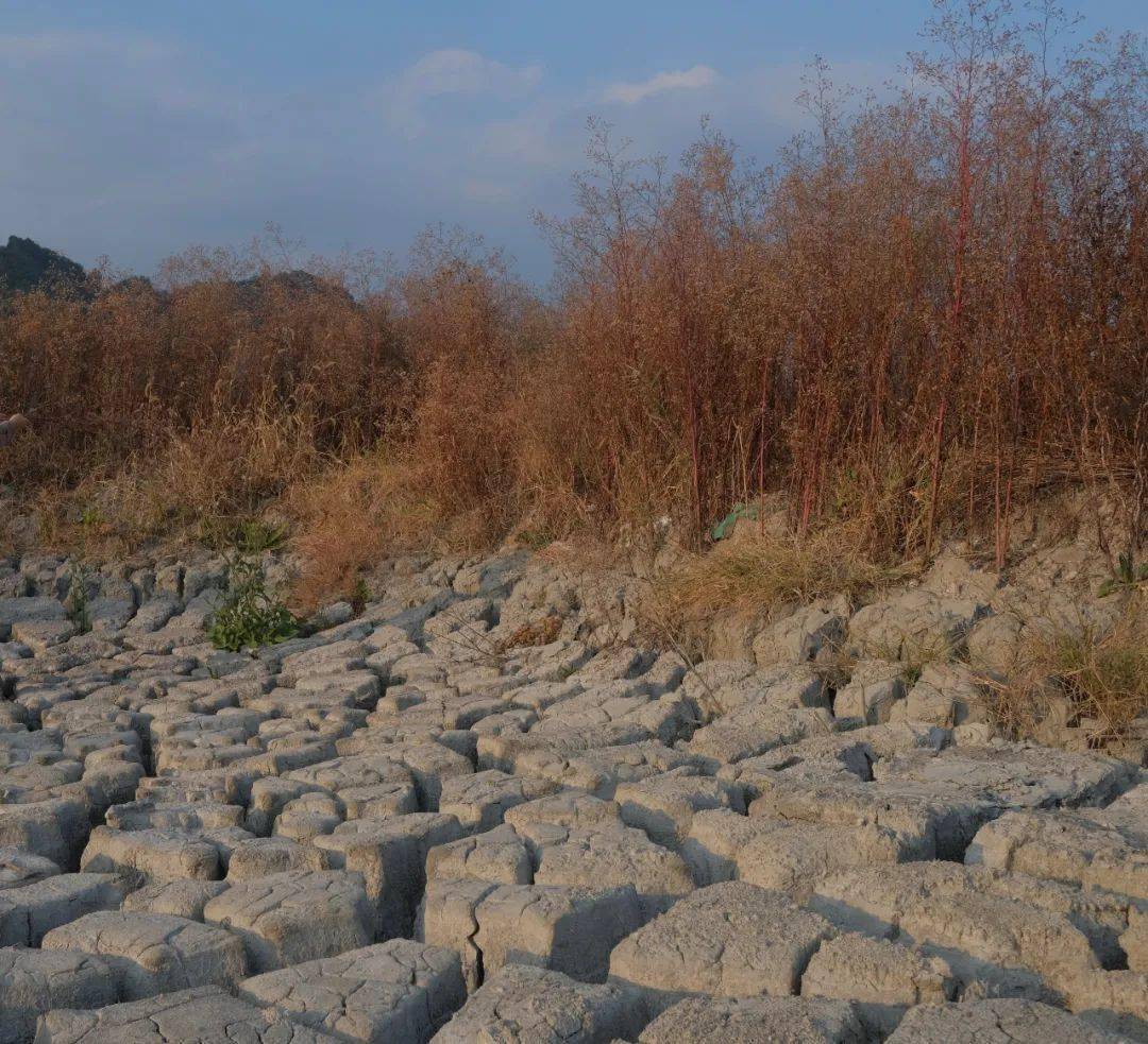 渴渴渴乐清已超40天无有效降雨好消息是