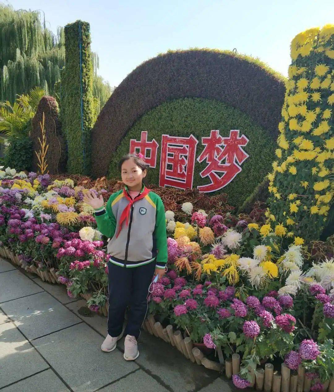 飒飒秋风颂花时 金菊满园踏歌行