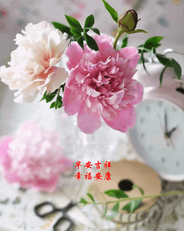 202061116120星期五早安30心语