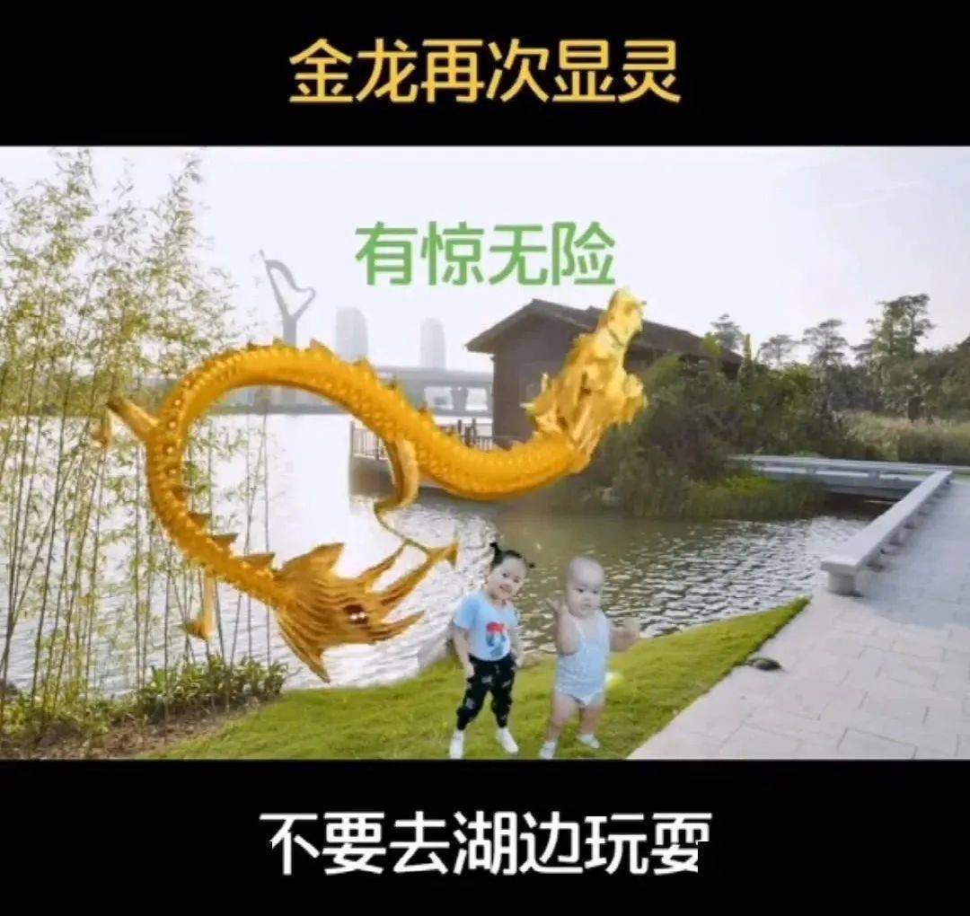 ▼怎么哪里都有它不过这金龙感觉比奥特曼还忙别的我不知道,奥特曼